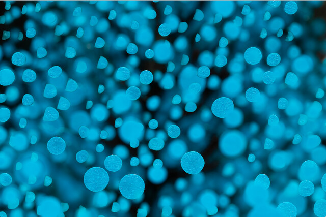 Sea Blue