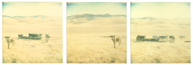 Stefanie Schneider, ‘Untitled, triptych’, 2019, Photography, Analog C-Prints based on 3 expired Polaroids., Instantdreams