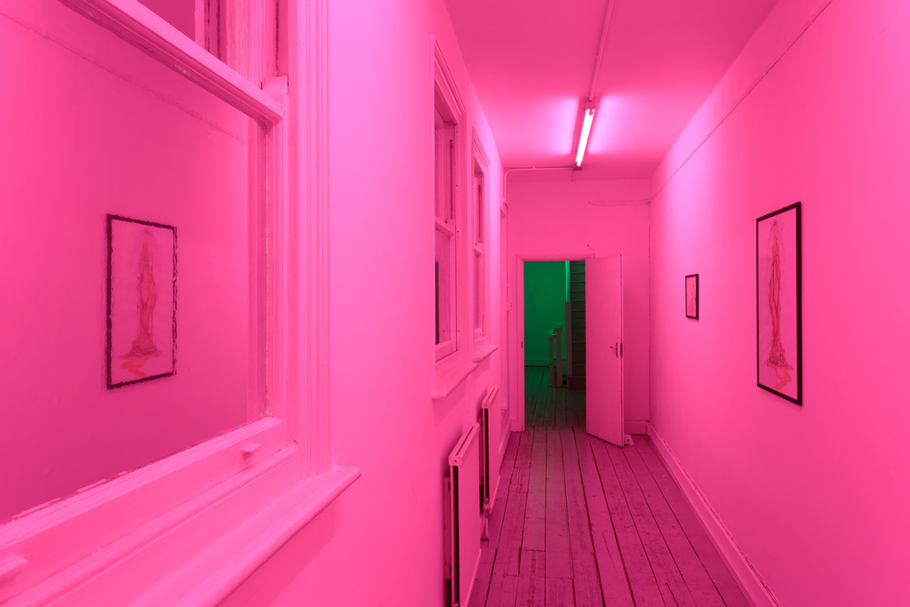 Zoe Williams, Sunday Fantasy, 2019, installation view. Photo: Tim Bowditch Zoe Williams, Sunday Fantasy, 2019, installation view. Photo: Tim Bowditch