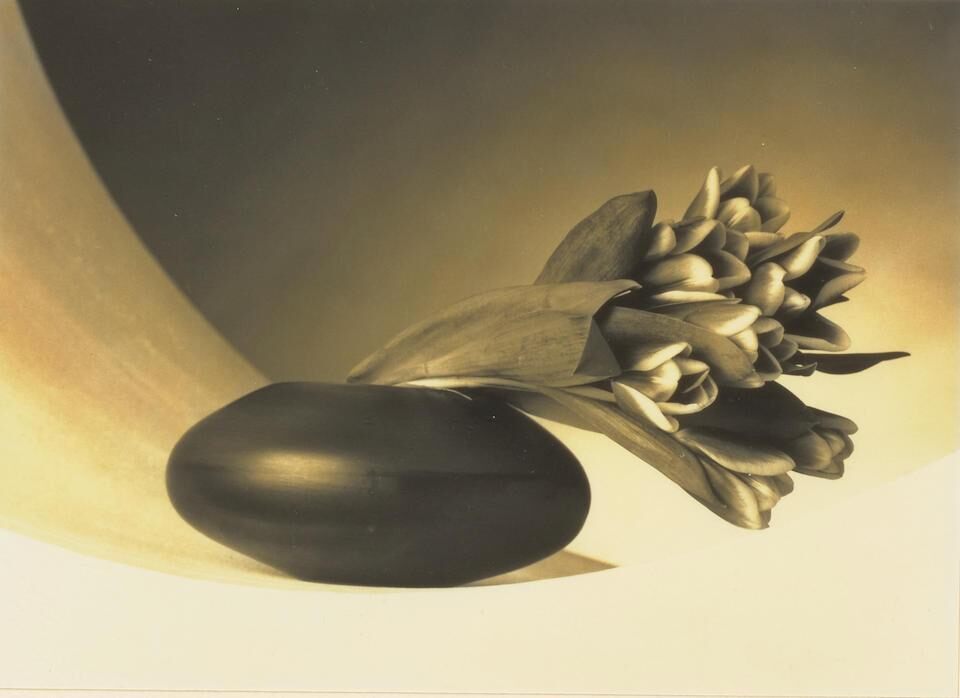 Robert Mapplethorpe - Tulips (Just to Thank You)