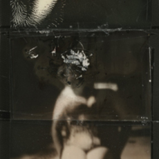 Ashley Wood