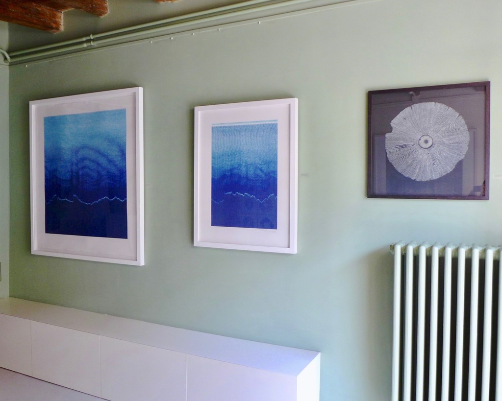 Installation view of "Echo Waves", "Everything Nothing" and "Amanita Phalloides".
Installation view of "Echo Waves", "Everything Nothing" and "Amanita Phalloides".