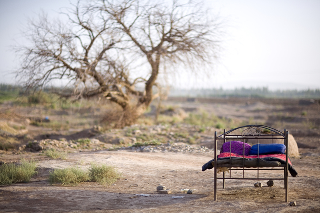 Lisa Ross, ‘Ancient Tree with Bed’, 2013, MIYAKO YOSHINAGA