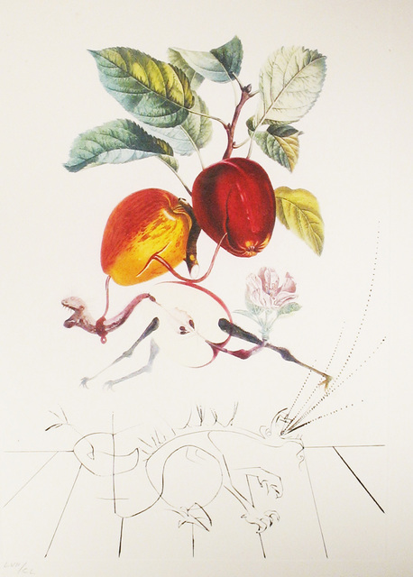 Salvador Dalí, ‘Apple-Eve’s Apple’, 1969, Print, Lithograph with original drypoint remarques, DTR Modern Galleries