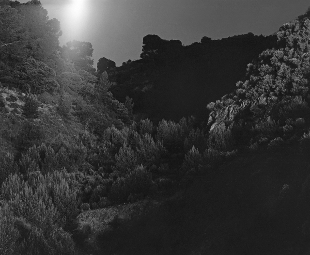 Awoiska van der Molen, ‘#281-5’, 2010, Photography, Silver gelatine print, Kristof De Clercq