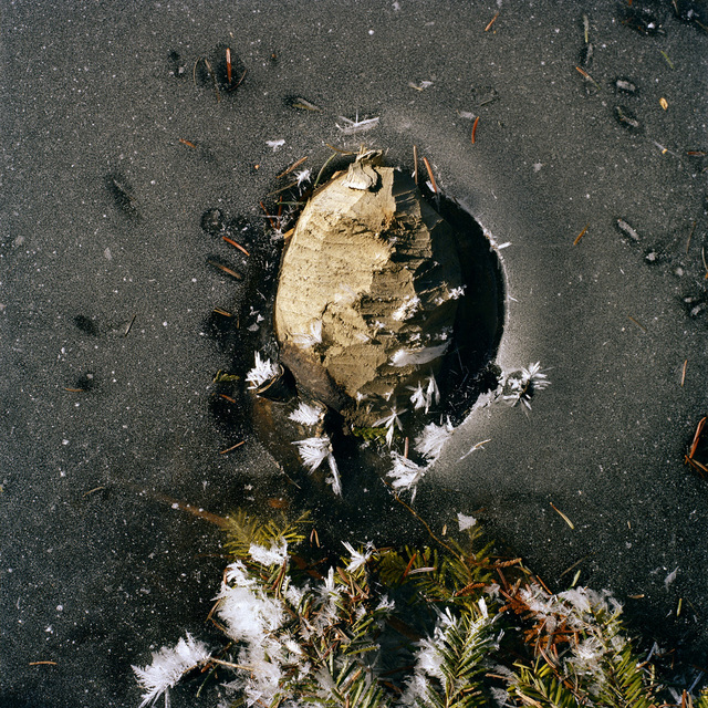 Normand Rajotte, ‘No title’, 2014, La Castiglione Gallery
