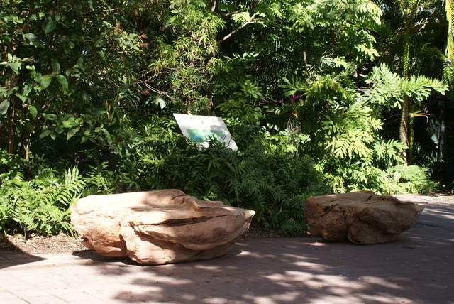 Michele Oka Doner, ‘Chitra Bench’, 2012, Design/Decorative Art, Australian Pine, Cristina Grajales Gallery