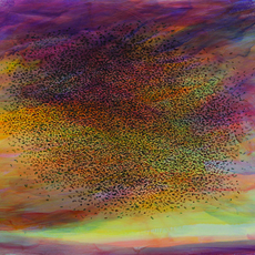 Mark Crofton Bell