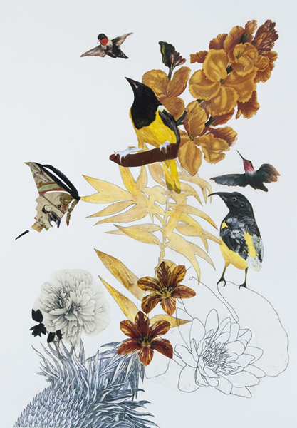 Jennifer Bain, ‘Strange Exotic’, 2010-2015, Michael Warren Contemporary