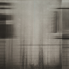 Janne Laine