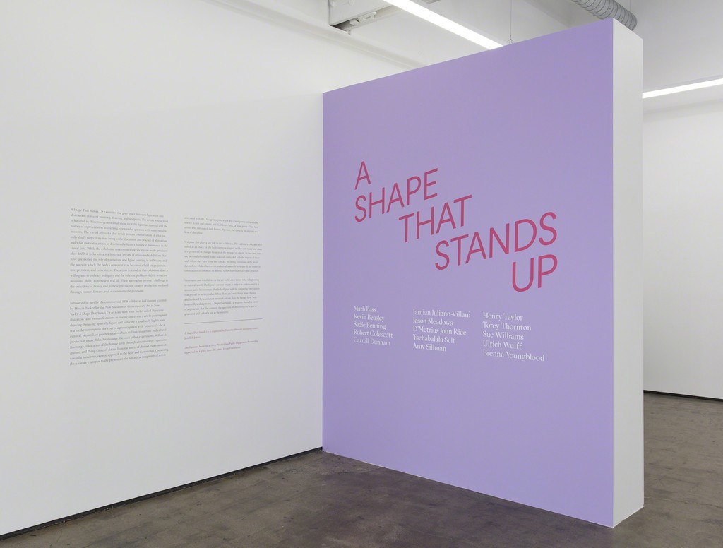 Installation view, Art + Practice, Los Angeles, March 19 – June 18, 2016. Photo: Brian Forrest. Installation view, Art + Practice, Los Angeles, March 19 – June 18, 2016. Photo: Brian Forrest.