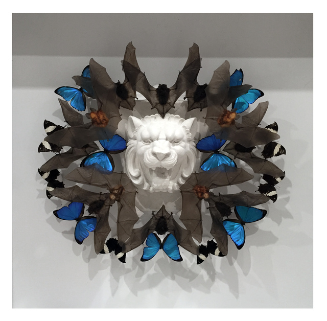 Joseph Grazi, ‘Mufasa’, 2016, Joseph Gross Gallery