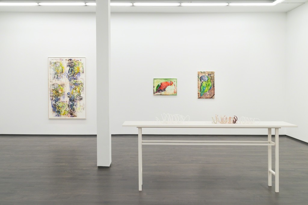James Krone, An Ornithology for Birds, Installation View, 2015. Photo by Tim Johnson James Krone, An Ornithology for Birds, Installation View, 2015. Photo by Tim Johnson