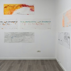 Paulina Pankiewicz, Score C (2020)