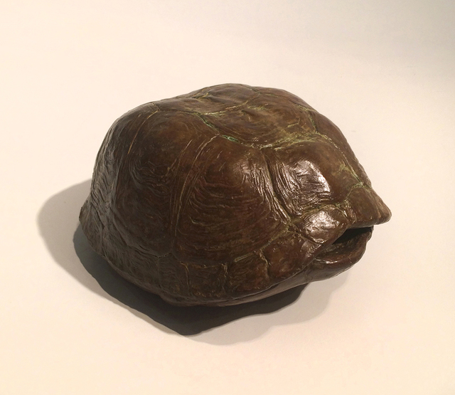 J. Clayton Bright, ‘Turtle Shell’, Somerville Manning Gallery