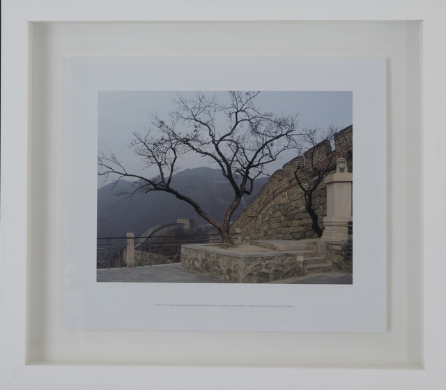 James Webb, ‘There's no place called home (Great Wall)’, 2005, Museum of African Design (MOAD)