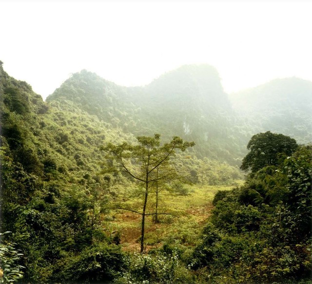 Doug Hall, ‘Valley of the Mountain of the Fragrant Traces’, 2000, Rena Bransten Gallery
