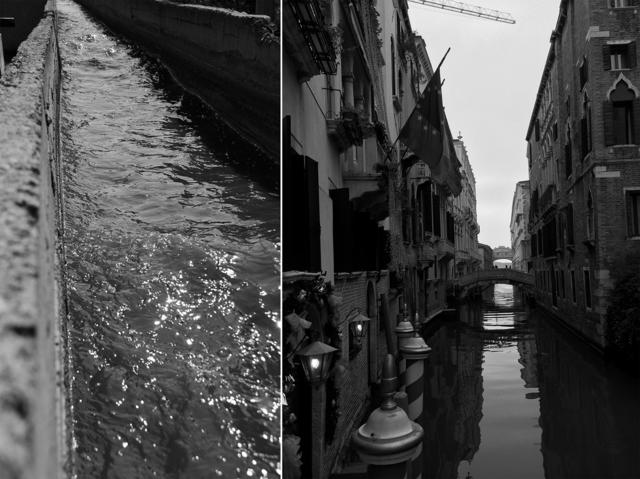 Tania Candiani & Luis Felipe Ortega, ‘Possessing Nature’, 2015, 56th Venice Biennale
