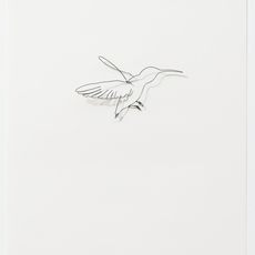 Eric Rhein