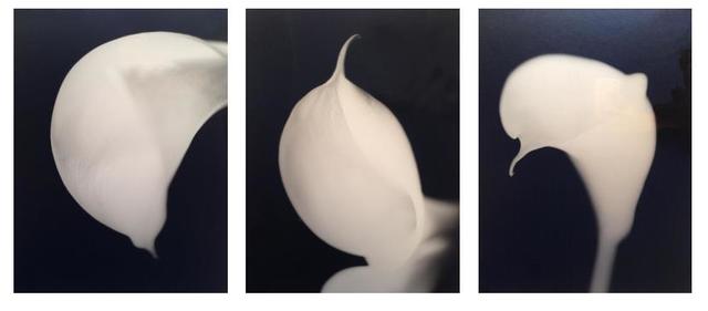 Koo Bohnchang, ‘Calla’, 1999-2000, Photography, Photographs, Paik Hae Young Gallery