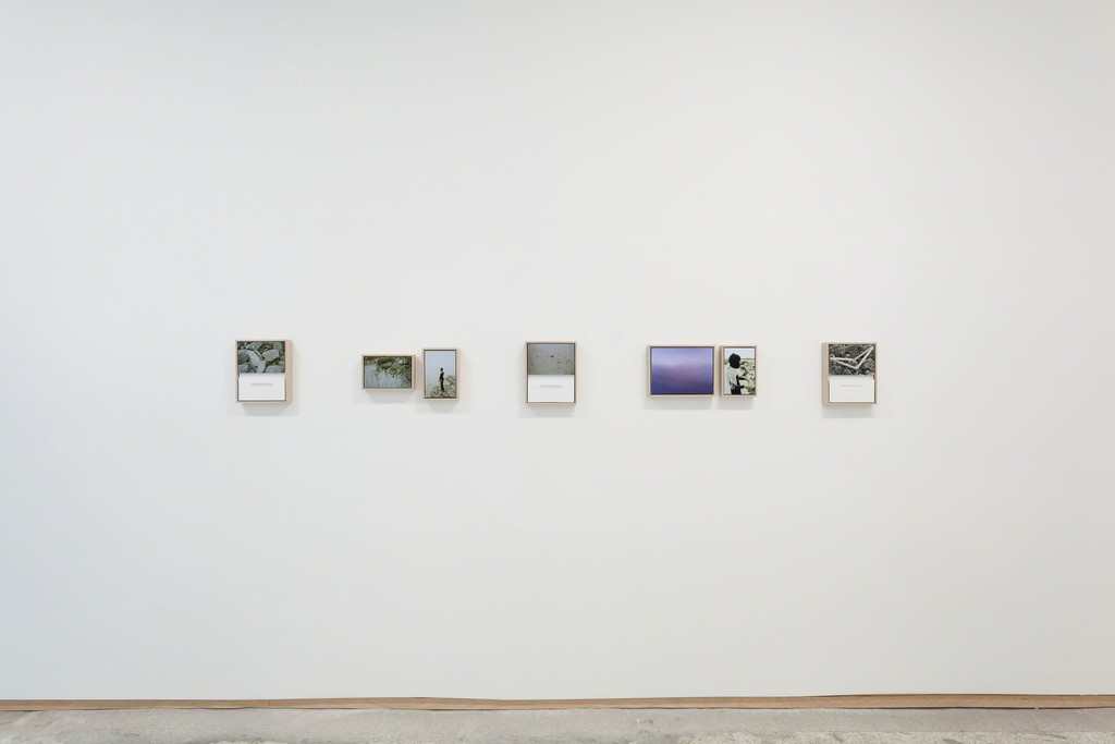 Installation view, Jamilah Sabur: The Rhetoric of the Living at Emerson Dorsch, through April 6, 2018 Installation view, Jamilah Sabur: The Rhetoric of the Living at Emerson Dorsch, through April 6, 2018