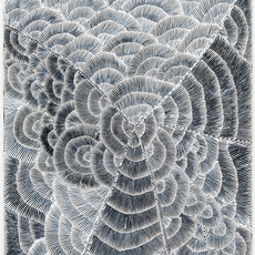 Lily Sandover