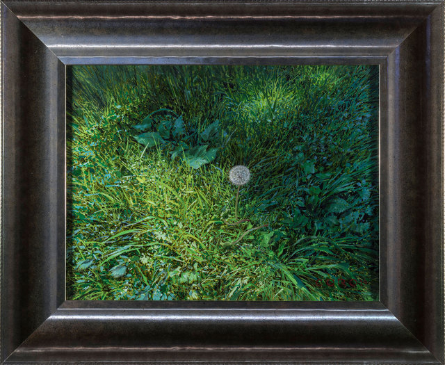 Justin Kaufman, ‘Dandelion III’, 2019, Painting, Oil on Panel, ARCADIA CONTEMPORARY