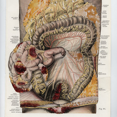 Kathryn Parker Almanas