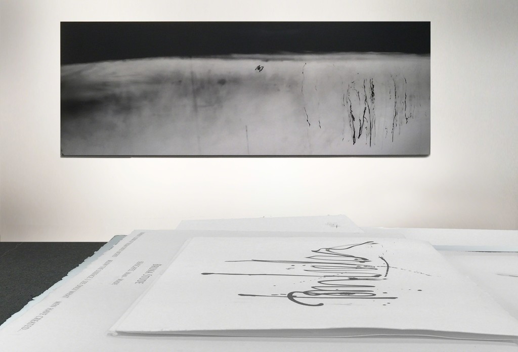 C-print by Bruna Stude C-print by Bruna Stude