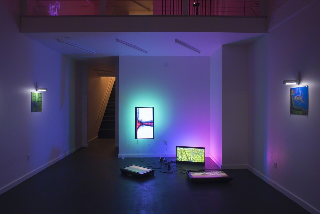 Paula Morales, installation view, 2017 Paula Morales, installation view, 2017