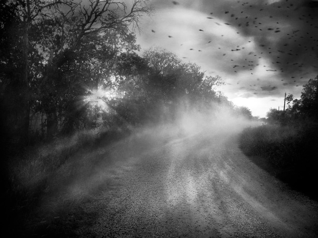 Angela Bacon-Kidwell, ‘Chasing Hope’, 2013, photo-eye Gallery