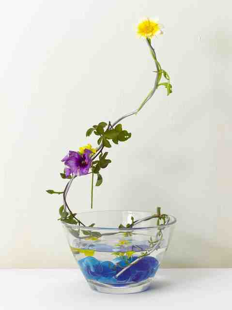 Yahui Wang, ‘A work for a building plot: Make a flower arrangement for me ’, 2011, TKG+