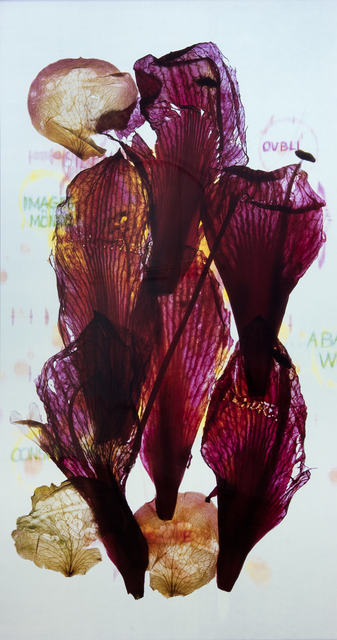 Anne and Patrick Poirier, ‘Archives’, 2014, Galleria Fumagalli