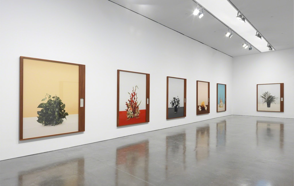 © Taryn Simon. Photography by Robert McKeever. Courtesy Gagosian Gallery. © Taryn Simon. Photography by Robert McKeever. Courtesy Gagosian Gallery.