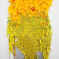 Borinquen Gallo