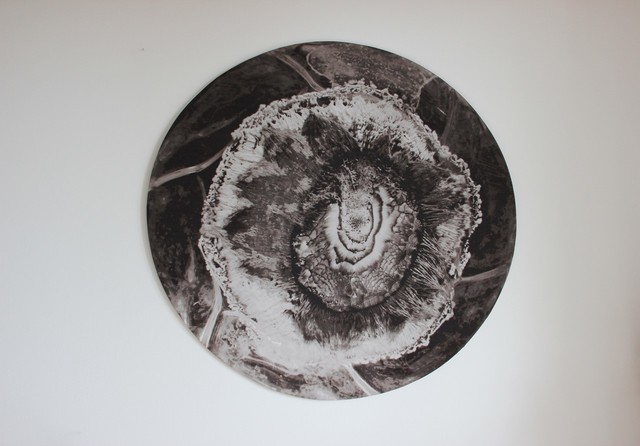 Giulia Maiorano, ‘Suspended Island’, 2015, Mixed Media, Print of fabric, Ncontemporary