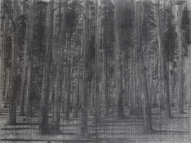 Frédéric Clot, ‘Forêt, 2006-2007’, 2006-2007, Ditesheim & Maffei Fine Art