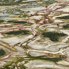 Roberta Bondar