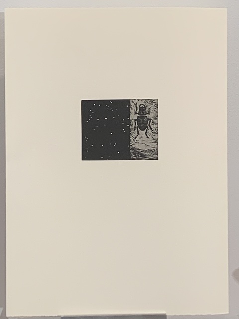 Vija Celmins, ‘Night sky/Beetle’, 1990, Print, Woodcut & linocut, Anders Wahlstedt Fine Art