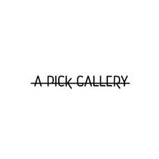 A PICK GALLERY logo