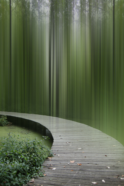 Ellen Jantzen, ‘Toward Profusion’, 2013, Bruno David Gallery