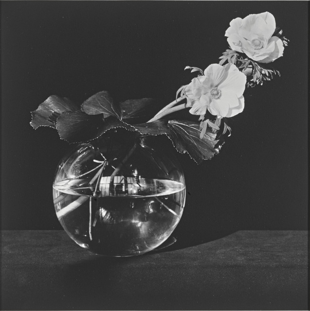 Robert Mapplethorpe, ‘'Anemone'’, 1982, Sotheby's