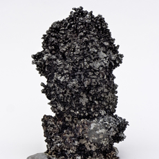 Christian Gonzenbach