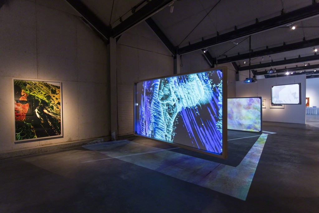Matt Saunders, TANK SHANGHAI project space, Shanghai Matt Saunders, TANK SHANGHAI project space, Shanghai