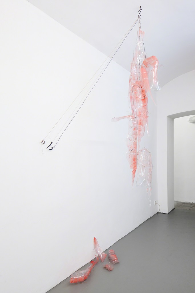Kasia Fudakowski, 'Are you eating well?', 2016 Kasia Fudakowski, 'Are you eating well?', 2016