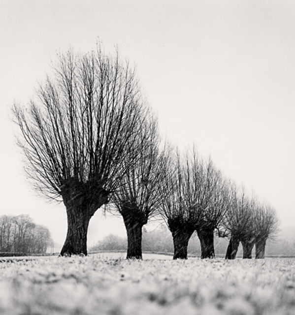 Michael Kenna, ‘Seven Pollarded Trees, Capaize, Bourgogne, France’, 1998, PDNB Gallery