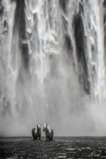 David Yarrow, ‘The Dream’, 2018, Photography, Archival Pigment Print, Hilton Asmus