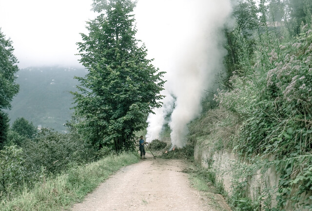 Yol II