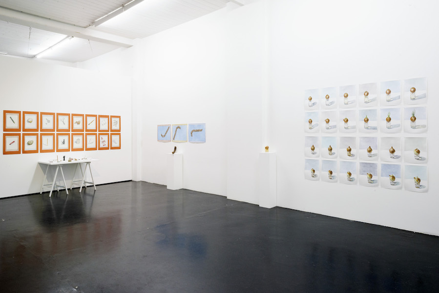 Nikita Alexeev, Images and their Entities, 2016, Installation view at Otto Zoo. Courtesy Otto Zoo. Photo Luca Vianello Nikita Alexeev, Images and their Entities, 2016, Installation view at Otto Zoo. Courtesy Otto Zoo. Photo Luca Vianello
