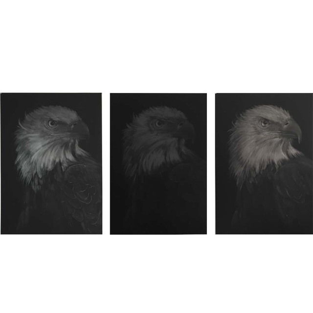 Aleksandar Duravcevic, ‘Empire’, 2014, Drawing, Collage or other Work on Paper, Graphite, Sala Gaspar